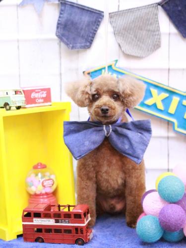 20230430ココアくん